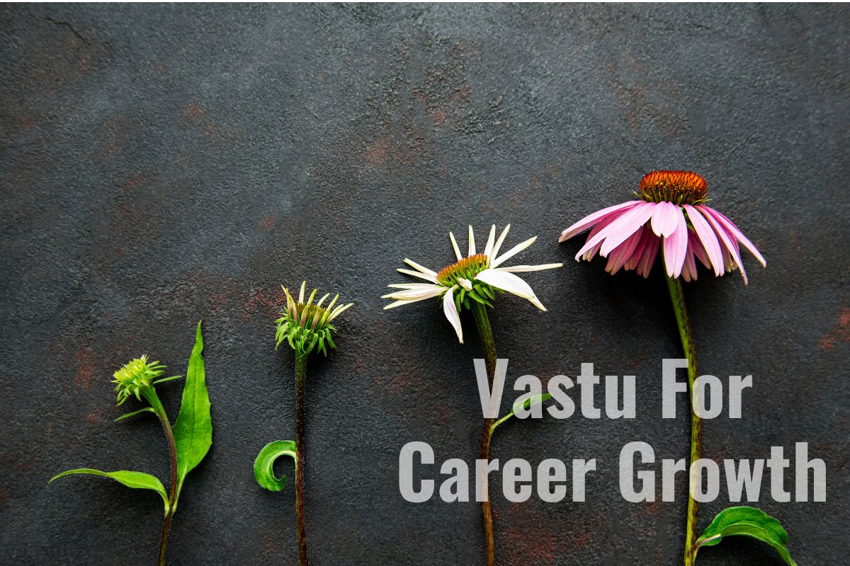 vastu for career growth