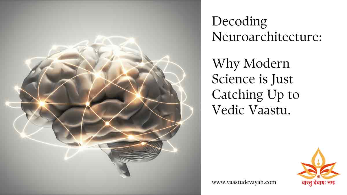 Decoding Neuroarchitecture